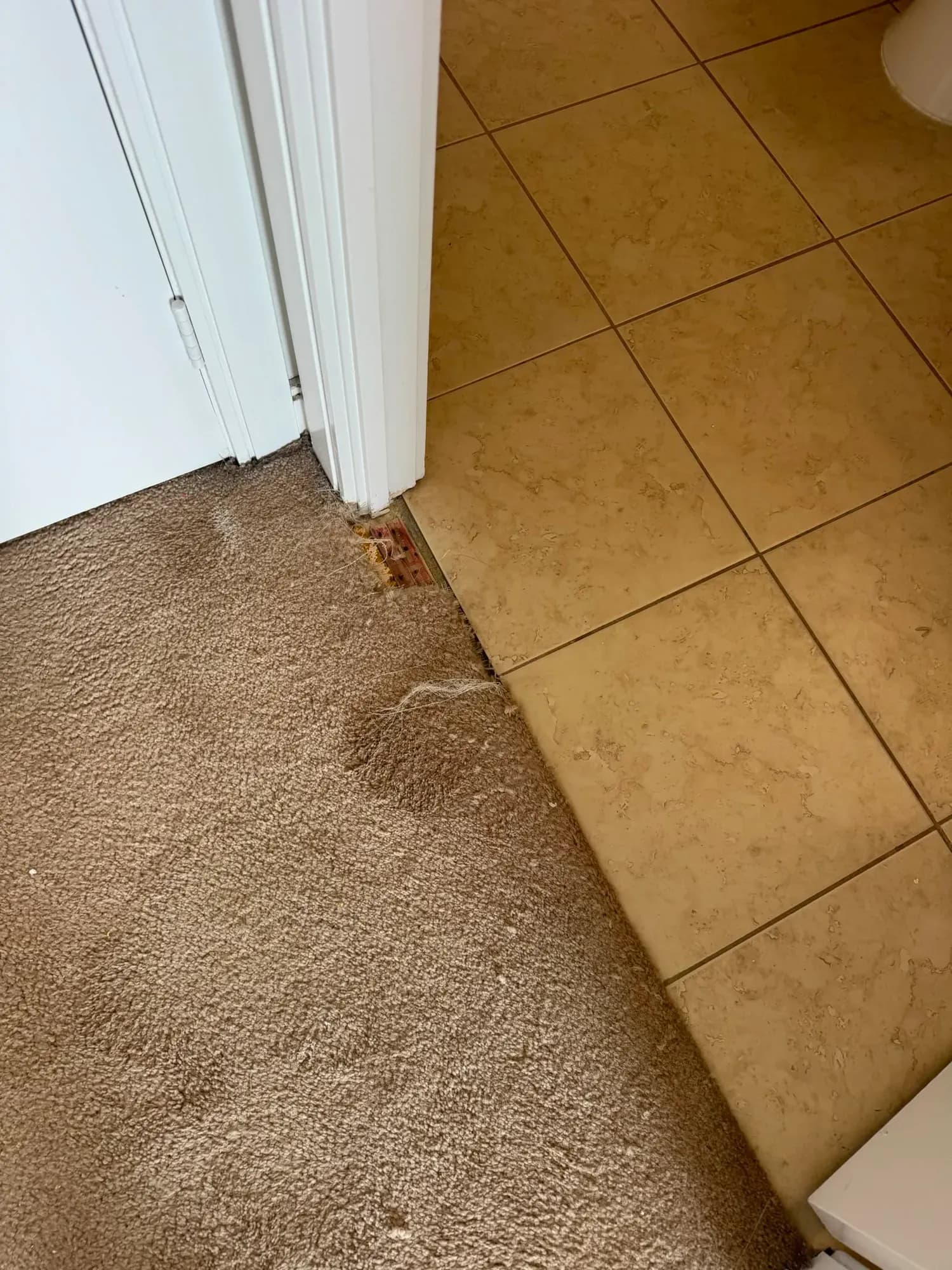 Flooring work by 360Reno