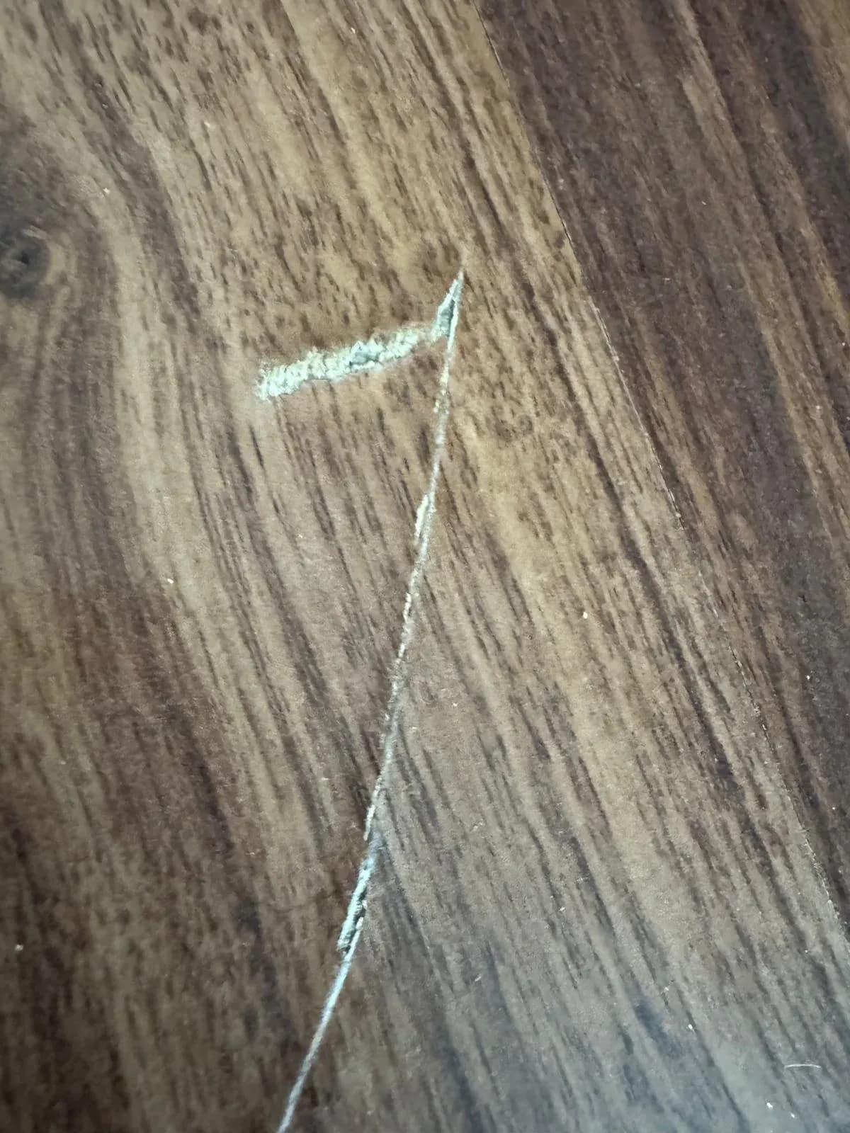 Flooring work by 360Reno