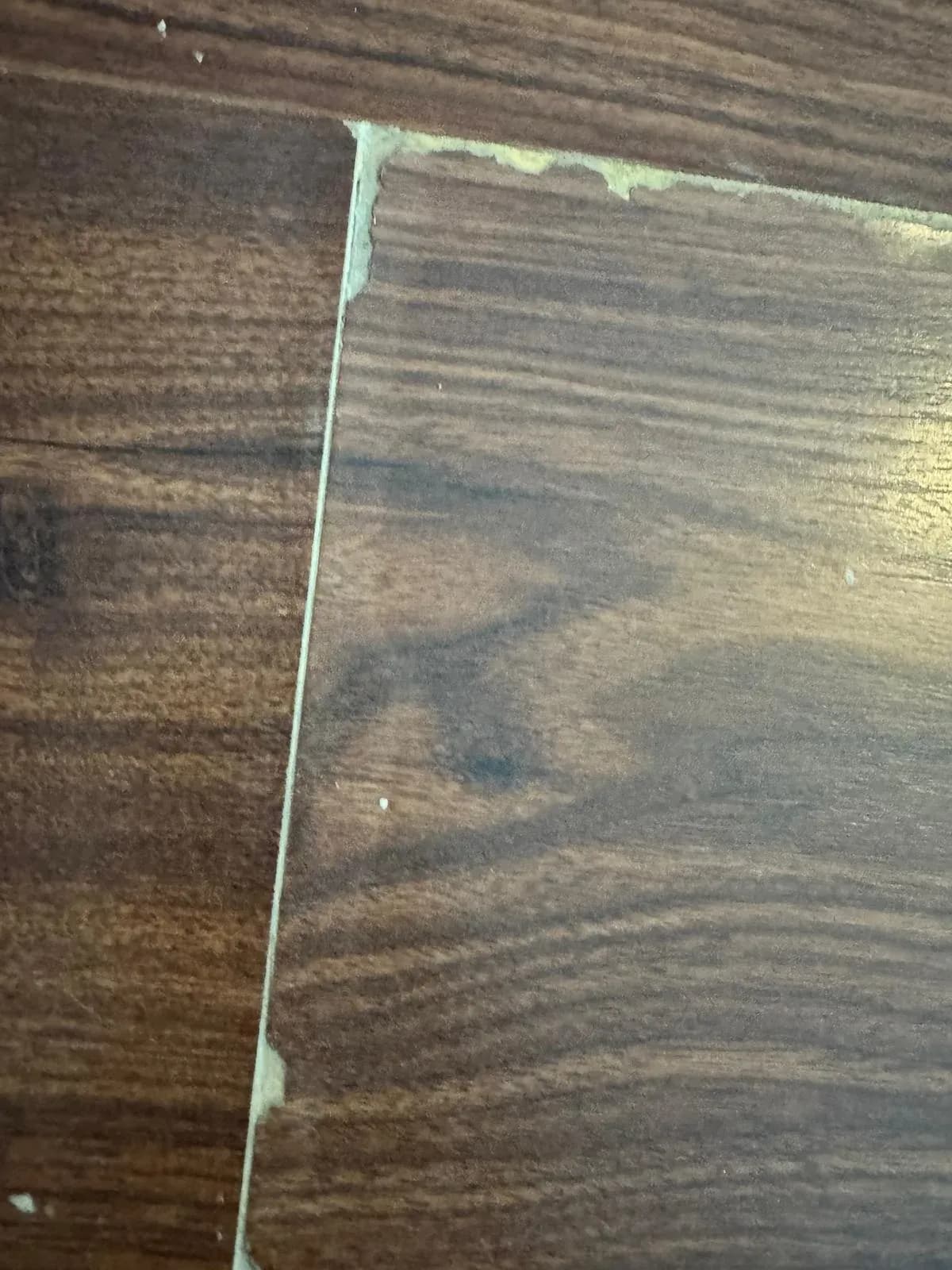 Flooring work by 360Reno